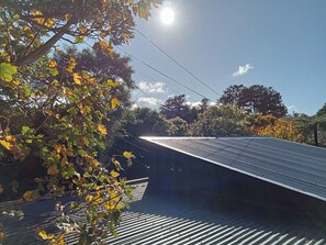 A rooftop with a corrugated metal roof, surrounded by trees with autumn leaves.