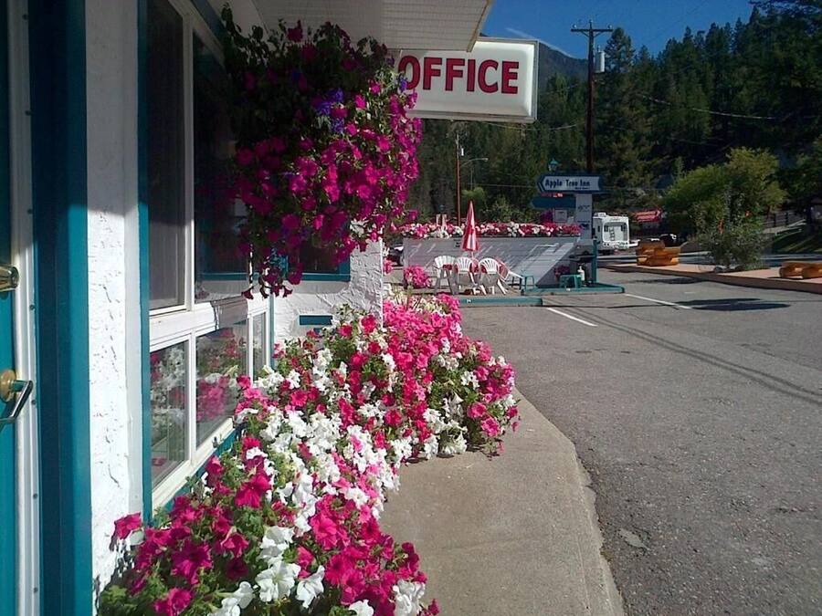 Área da propriedade