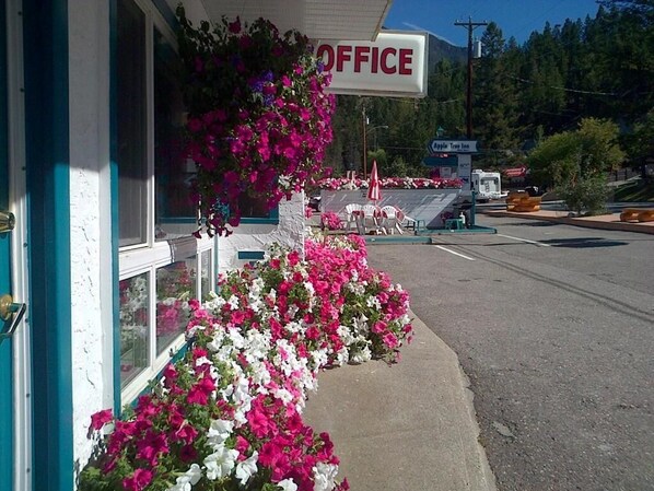 Áreas de la propiedad