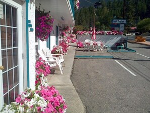 Property grounds - Apple Tree Inn (Radium Hot Springs)