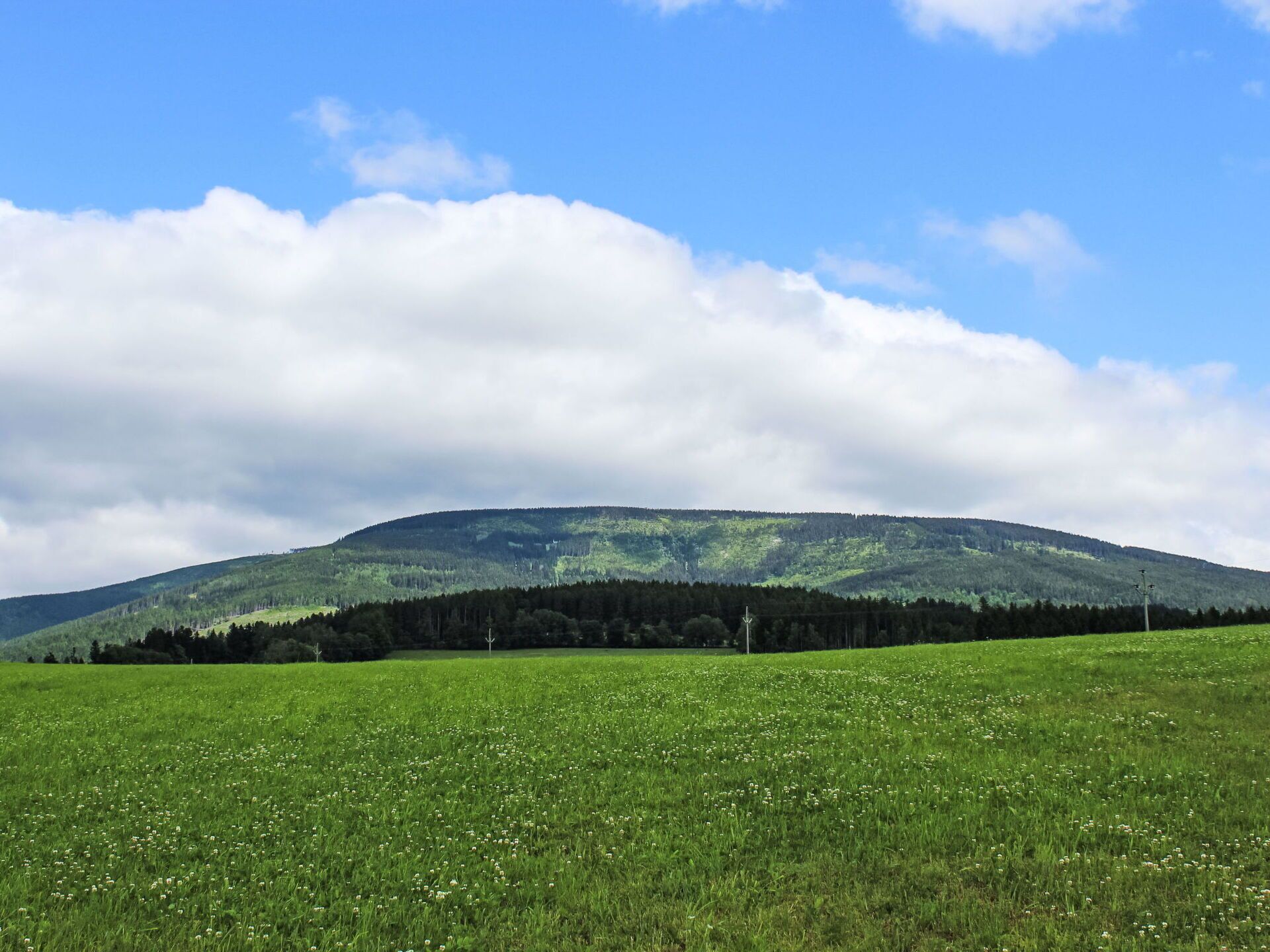 Ein grünes Feld mit einem Berg im Hintergrund.