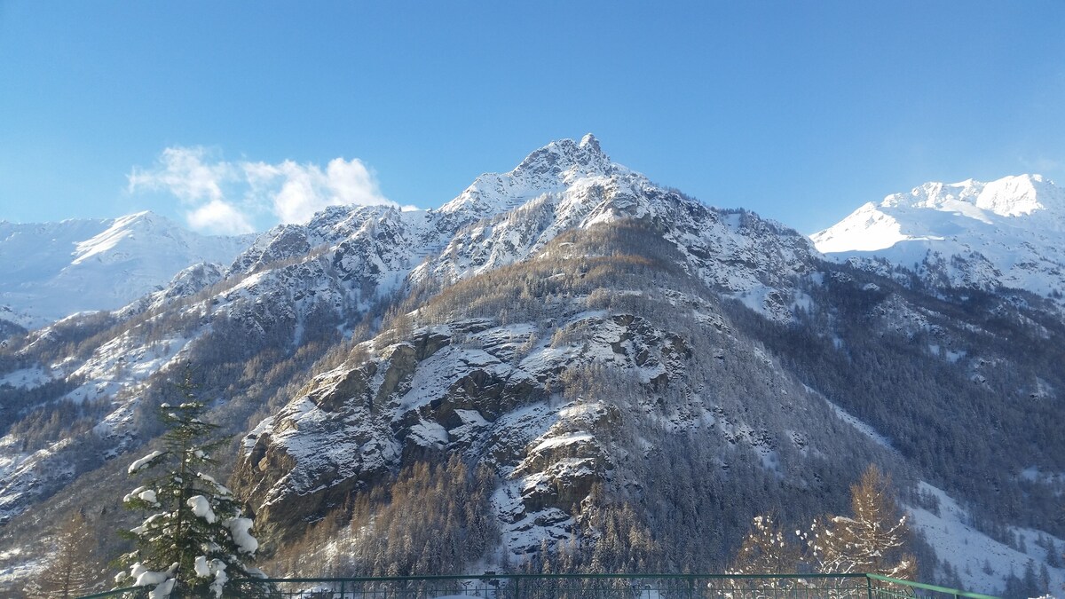 Image de profil de l’hôte