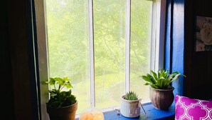 A window sill with two potted plants and a decorative globe. - Cozy Cabin: Peaceful Haven in the Heart of Nature (Green Mountain)
