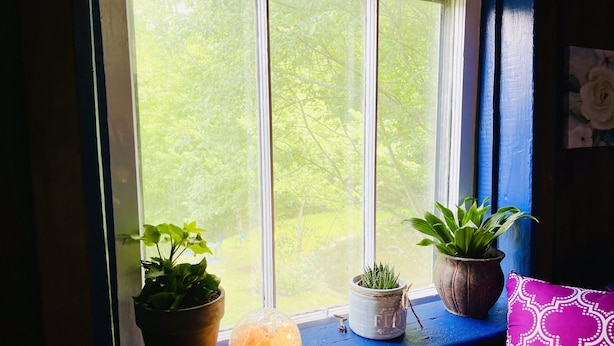 A window sill with two potted plants and a decorative globe. - Cozy Cabin: Peaceful Haven in the Heart of Nature (Green Mountain)