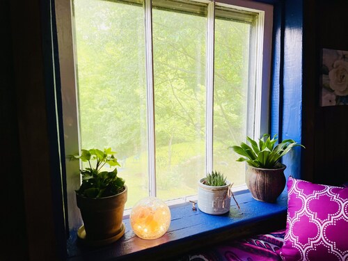 Cozy Cabin: Peaceful Haven in the Heart of Nature