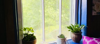 Cozy Cabin: Peaceful Haven in the Heart of Nature