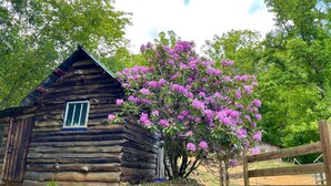 A rustic log cabin with a window, surrounded by lush greenery and a flowering tree. - Cozy Cabin: Peaceful Haven in the Heart of Nature (Green Mountain)