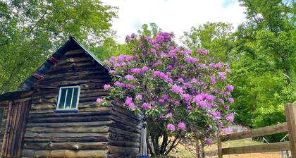 Cozy Cabin: Peaceful Haven in the Heart of Nature