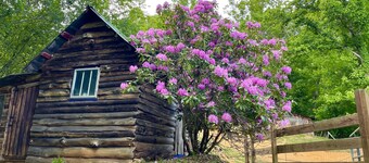 Cozy Cabin: Peaceful Haven in the Heart of Nature