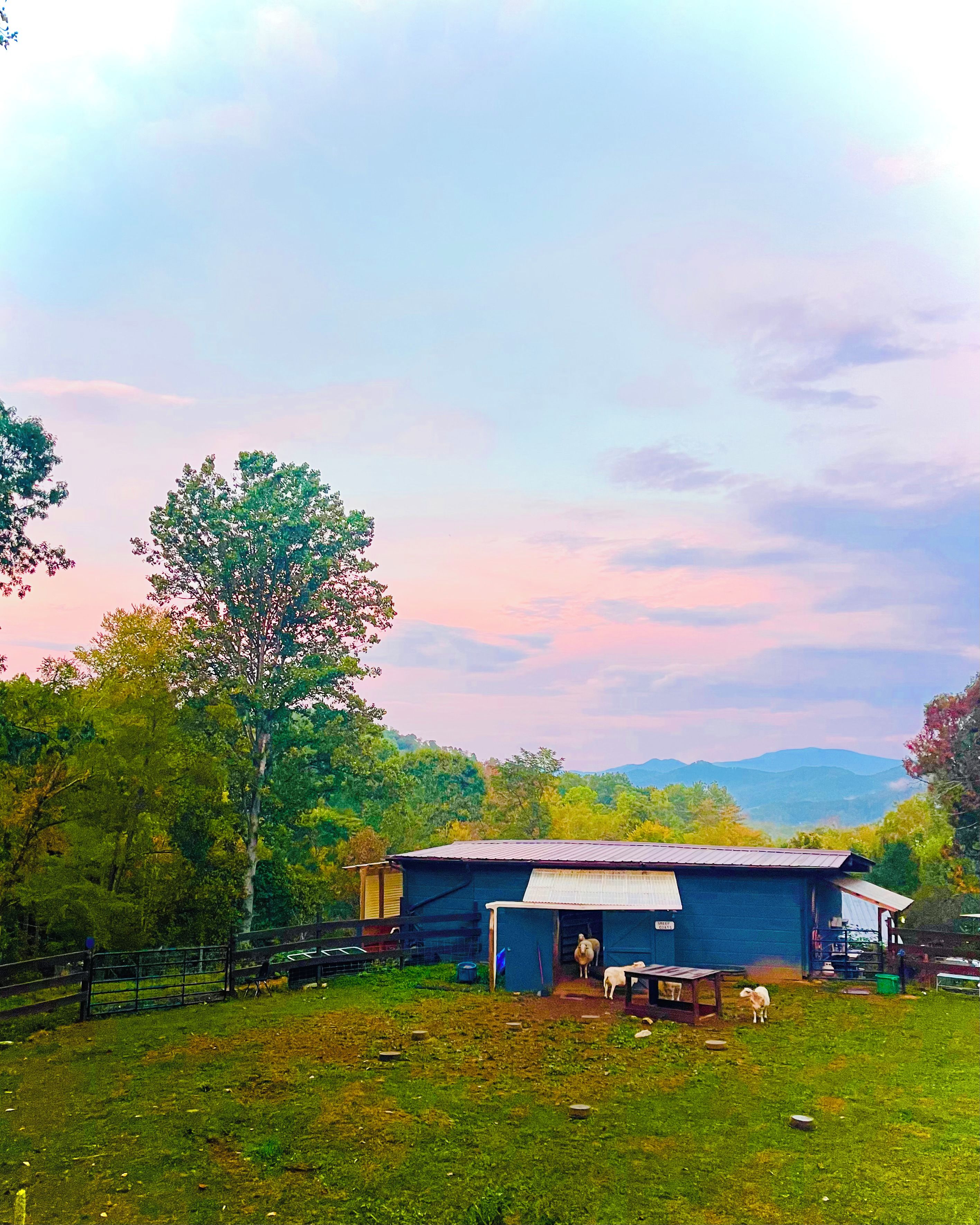 A rural barn with a fenced yard, a stable with horses, and a backdrop of trees and distant mountains.
