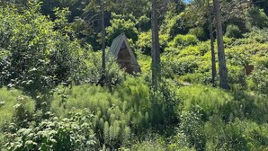 A small, rustic cabin surrounded by dense forest. - A-frame Shelter (T16) Oceanview Olympic Peninsula (Port Angeles)