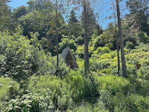 A small, rustic cabin surrounded by dense forest. - A-frame Shelter (T16) Oceanview Olympic Peninsula (Port Angeles)