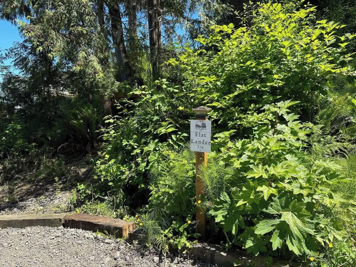 外观细节
