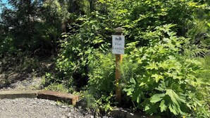 A signpost with the text "Flatlander T-16" in a natural setting with dense foliage. - A-frame Shelter (T16) Oceanview Olympic Peninsula (Port Angeles)