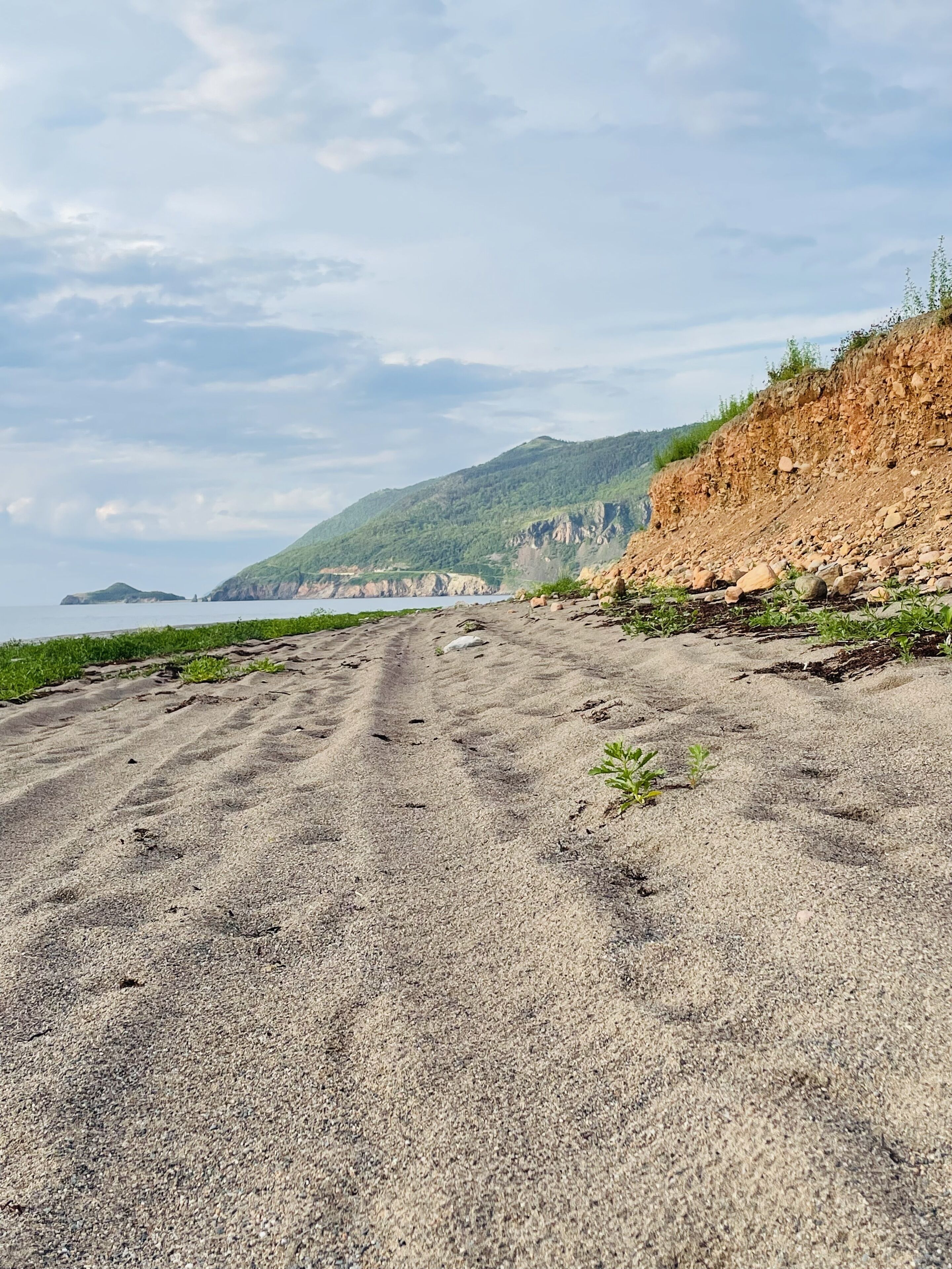 بالقرب من الشاطئ، مناشف للشاطئ