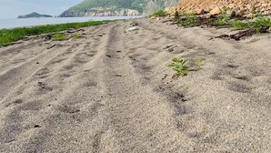 Une route côtière bordée d’un sentier de sable, de falaises rocheuses et offrant une vue sur la mer et les collines lointaines.