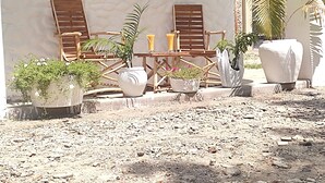 Zona esterna con sedute in legno, tavoli, piante in vaso e una parete bianca.