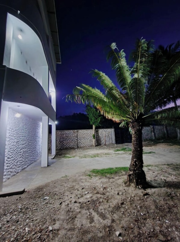 Un bâtiment moderne à la façade incurvée, avec un palmier au premier plan.