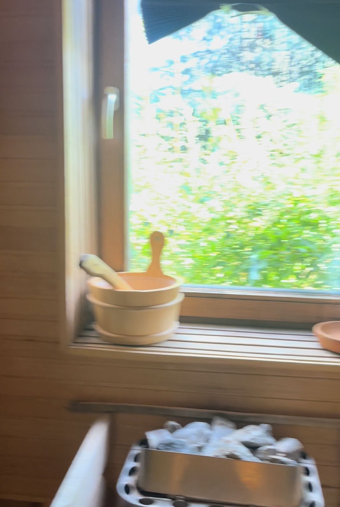 A kitchen window with a view of greenery outside.