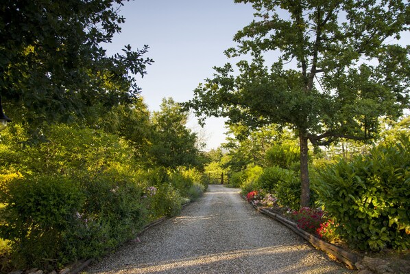 Terrain de l’hébergement 