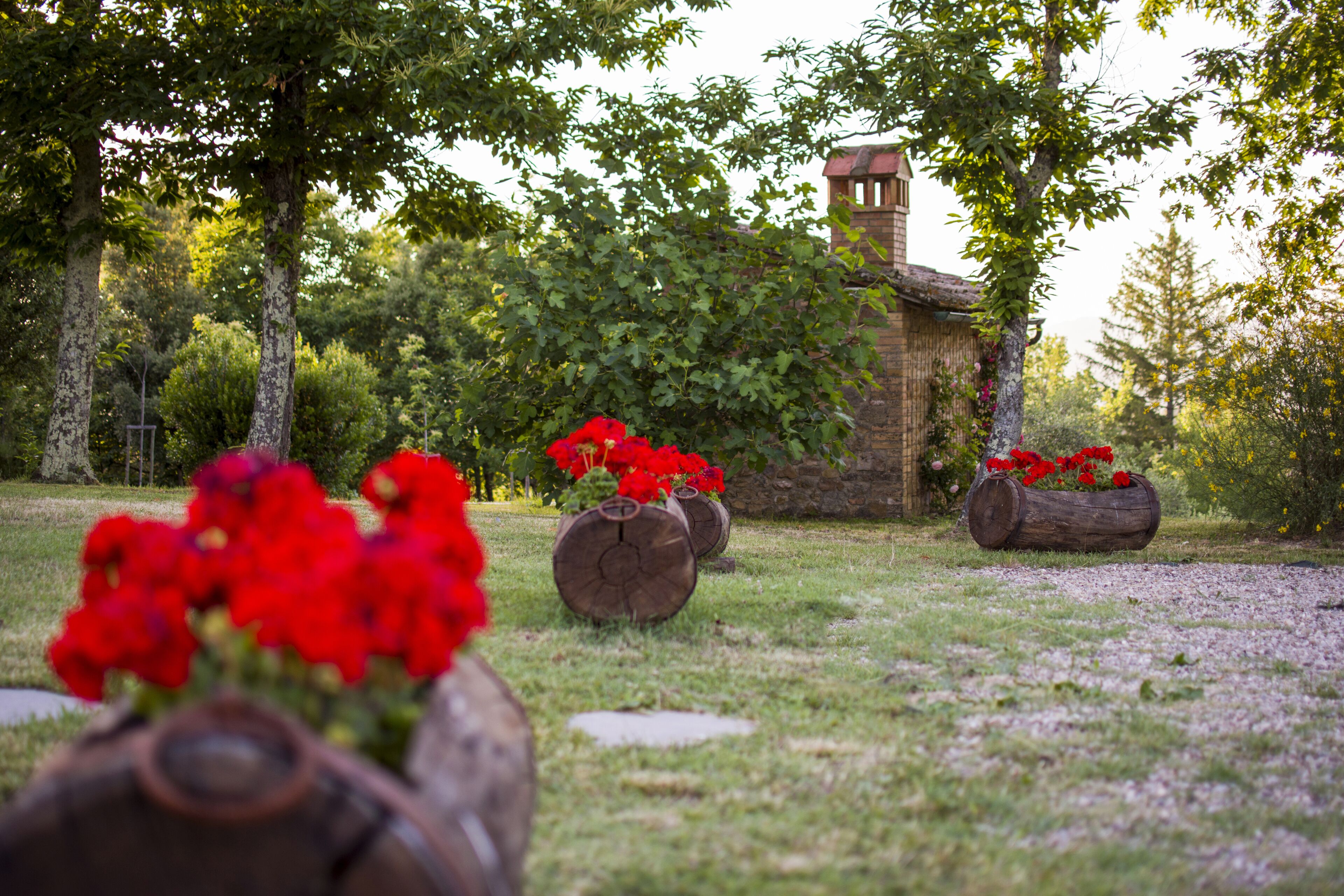 Enceinte de l’hébergement