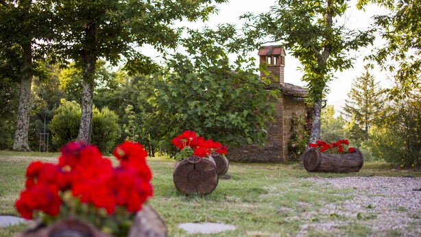 A garden with wooden barrels containing red flowers, a stone building with a tower, and trees in the background. - Typical Tuscan Cottage with swimming pool and park, five minutes from San Galgano (Monticiano)