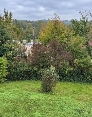 Un champ herbeux, avec une végétation arbustive dense et des arbres au premier plan.