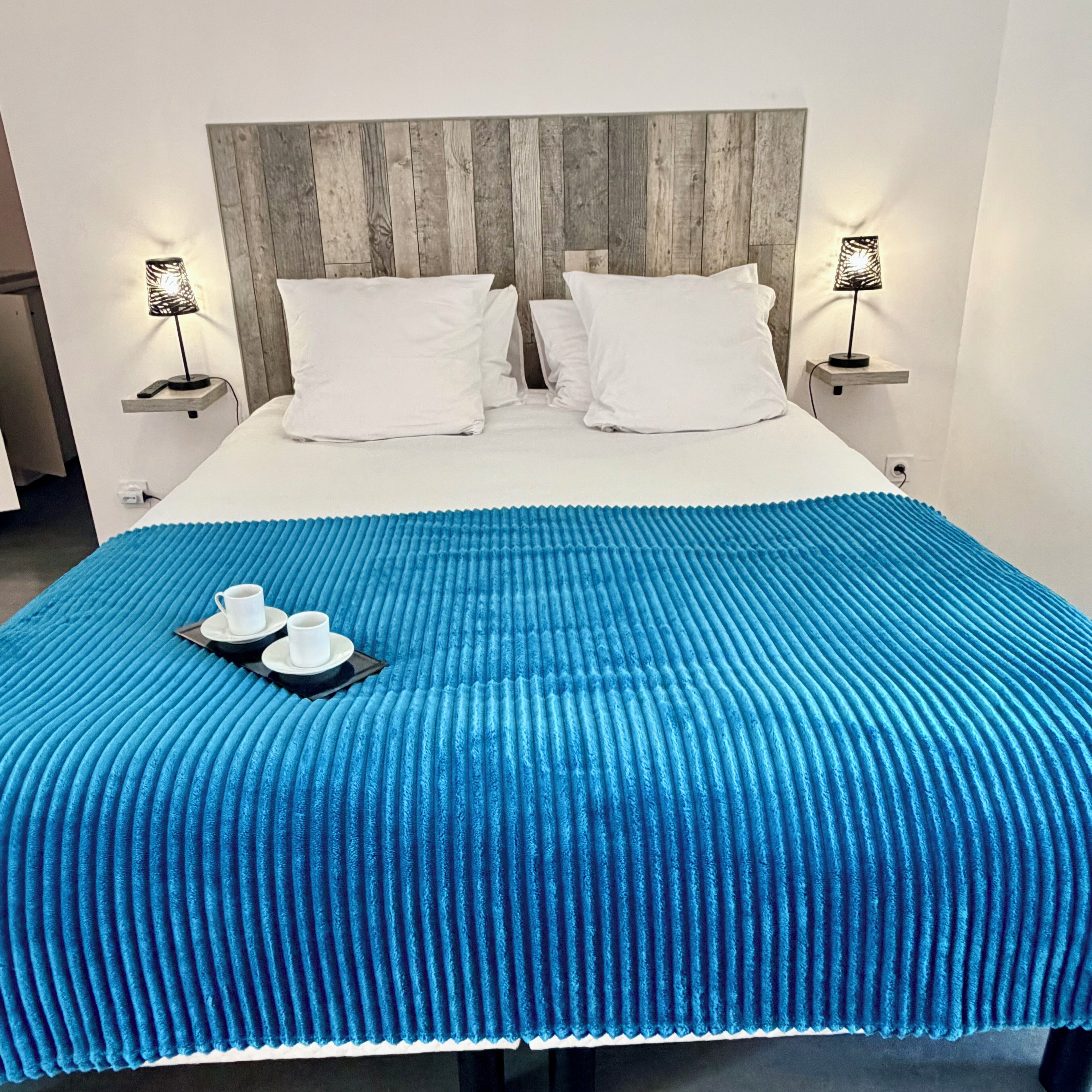 Chambre Premium Double ou avec lits jumeaux, réfrigérateur et four à micro-ondes, vue jardin | Literie de qualité supérieure, matelas mémoire de forme