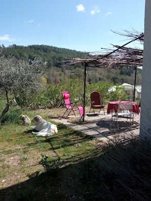 Outdoor dining - Stay at the farm "la vigne a vélo" 2 rooms (Ampus)