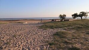 Una playa con arena, hierba y algunos árboles.