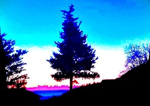 淋浴设施、吹风机、毛巾、卫生纸