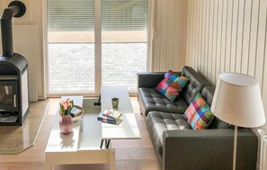 Smart-TV, Kamin