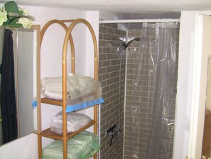 Shower, hair dryer, towels
