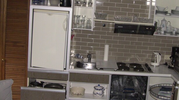 A compact kitchen with a refrigerator, a stove, and a dishwasher.