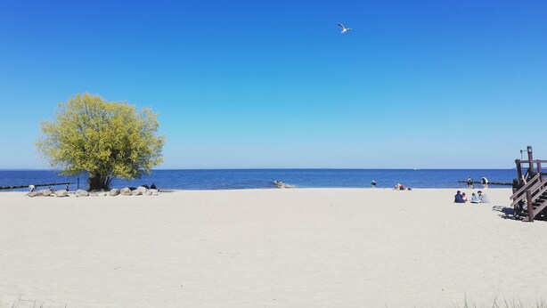 Ein Strand mit blauem Himmel, einem Baum und entspannten Menschen.