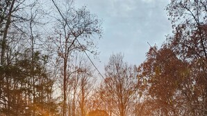 A cabin surrounded by trees with a snow-covered ground. - New River & Gauley River family cabin -10 minutes to state & national parks (Hico)