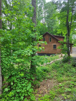 Exterior - New River & Gauley River family cabin -10 minutes to state & national parks (Hico)