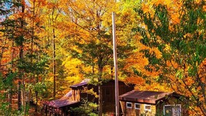 Exterior - New River & Gauley River family cabin -10 minutes to state & national parks (Hico)