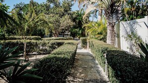 A pathway flanked by neatly trimmed hedges and palm trees, leading to a white building. - TranquiliSea: Pet friendly, long term discount, resort-style pool! (Holmes Beach)