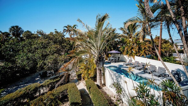 A pool area with lounge chairs and a palm tree. - TranquiliSea: Pet friendly, long term discount, resort-style pool! (Holmes Beach)