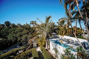 Área de piscina com espreguiçadeiras e uma palmeira.