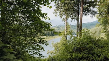 Terrain de l’hébergement