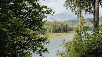 A river surrounded by dense forest and tall trees.