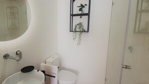 Une salle de bain avec un lavabo blanc, un miroir, des toilettes et une douche. Il y a une petite étagère avec une plante accrochée au mur.