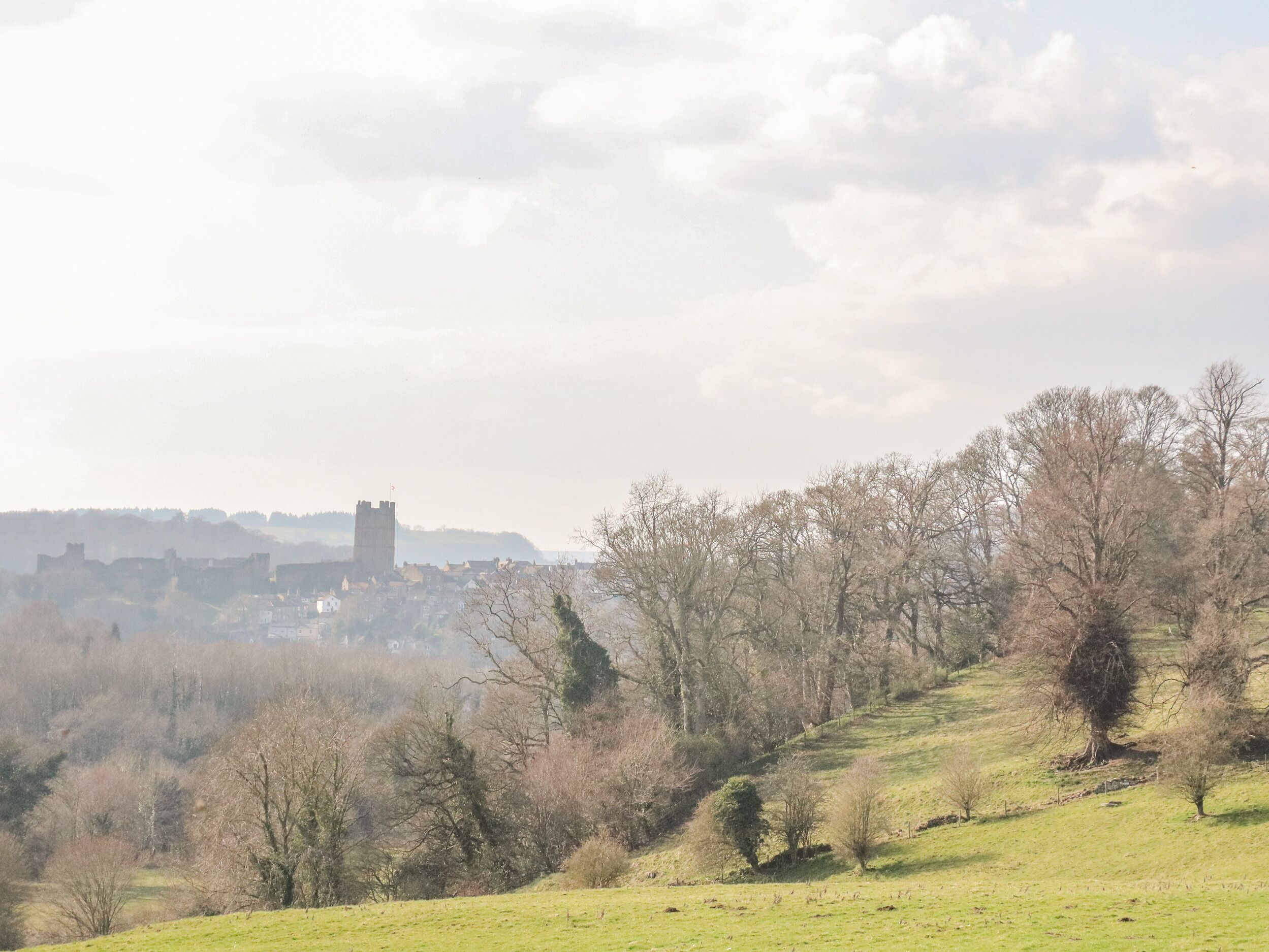 Un paisaje con un castillo en una colina, rodeado de árboles y un pueblo a lo lejos.