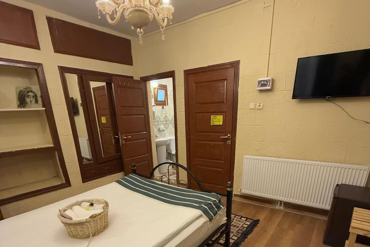 A bedroom with a bed, wooden floor, a chandelier, a television, and a radiator.
