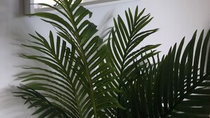 Una habitación con un espejo grande, una planta en maceta y un cuadro en la pared.