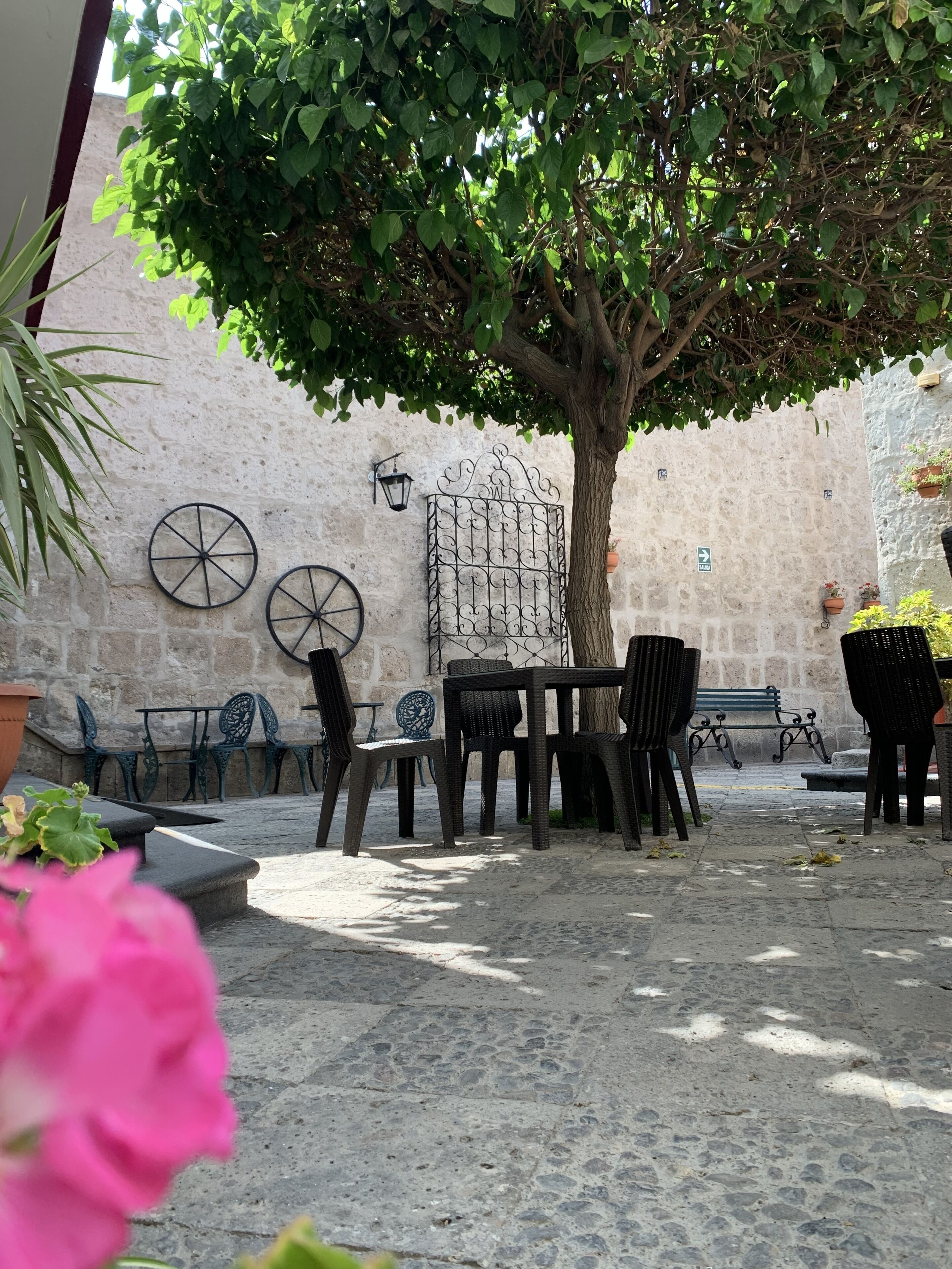 An outdoor patio area with a table and chairs, a tree providing shade, and a stone wall in the background.