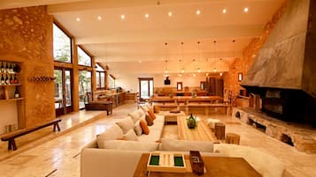 TV, fireplace, DVD player, books