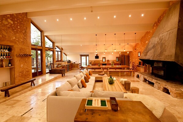 TV, fireplace, DVD player, books